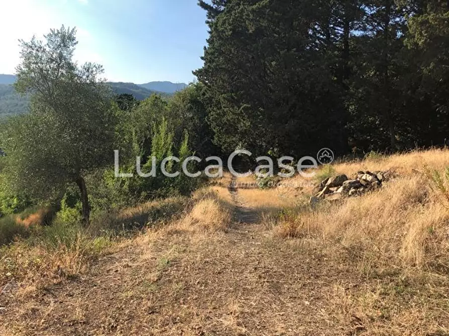 Immagine 14 di Casa colonica in vendita  a Montemurlo