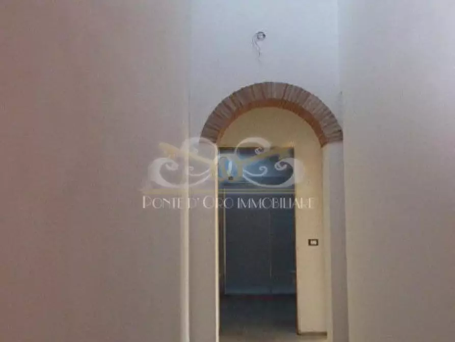 Immagine 11 di Terratetto in vendita  a Vecchiano