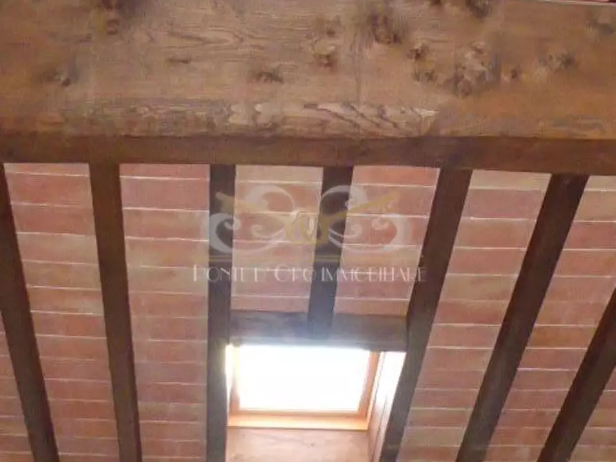 Immagine 22 di Terratetto in vendita  a Vecchiano