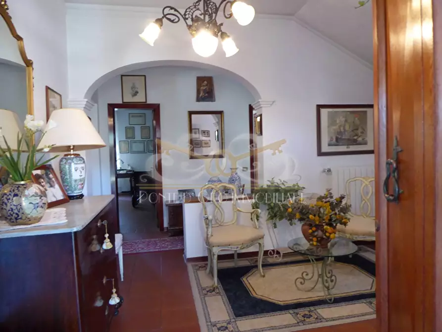 Immagine 11 di Villa in vendita  a Vecchiano