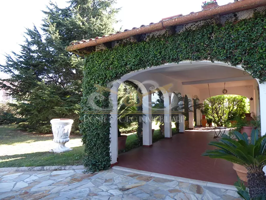 Immagine 8 di Villa in vendita  a Vecchiano