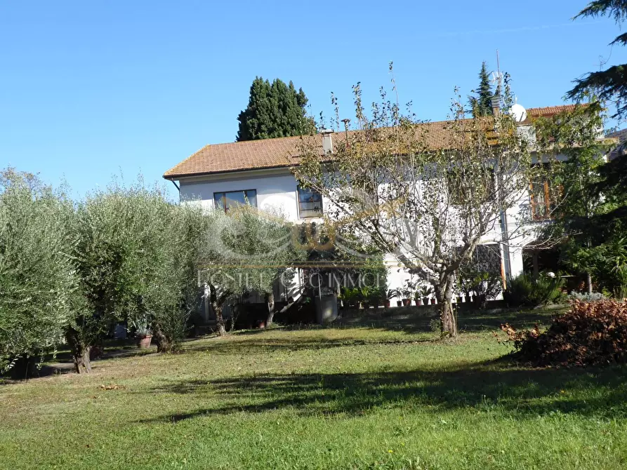 Immagine 4 di Villa in vendita  a Vecchiano
