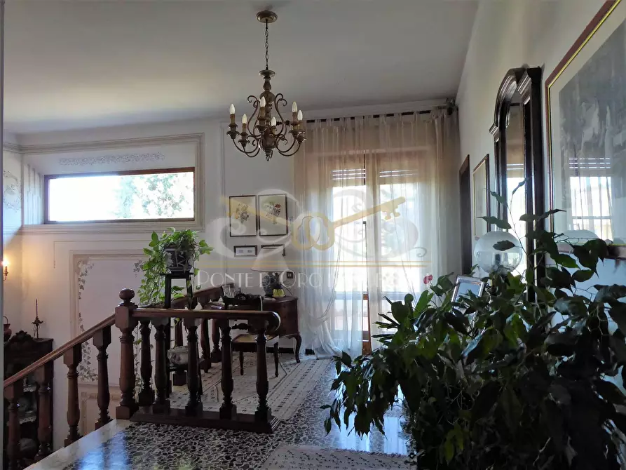 Immagine 20 di Villa in vendita  a Vecchiano