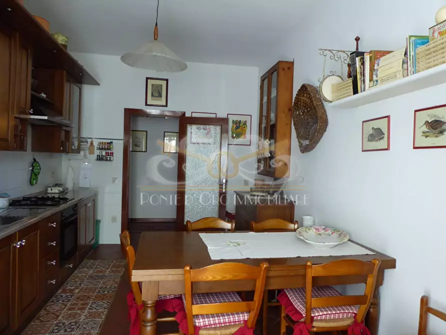 Immagine 18 di Villa in vendita  a Vecchiano