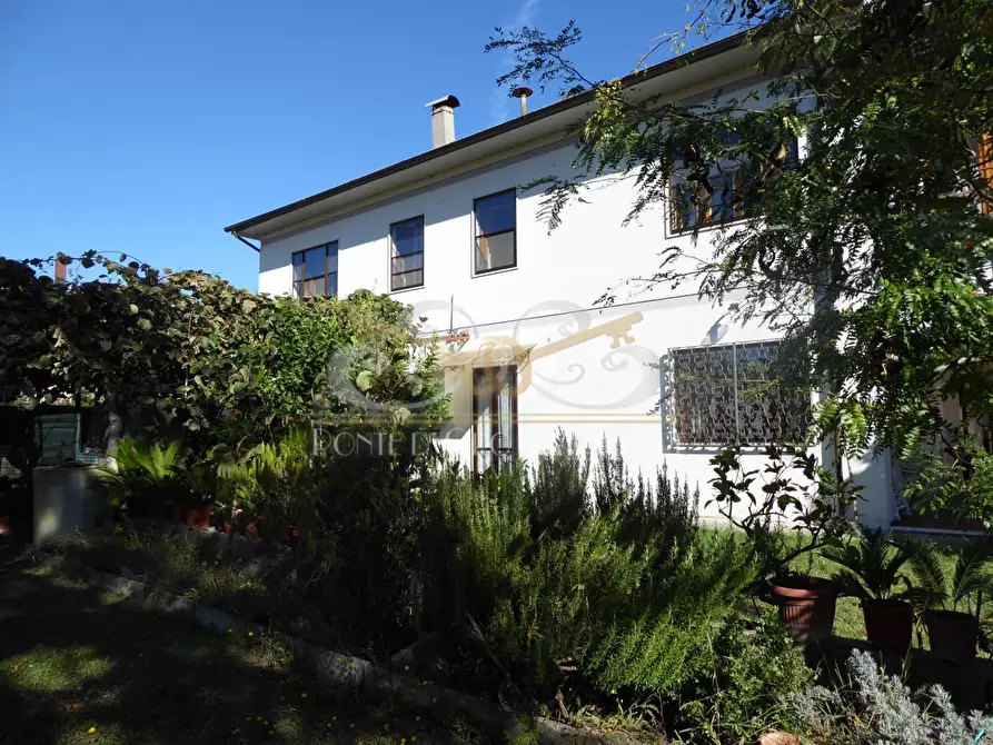 Immagine 5 di Villa in vendita  a Vecchiano