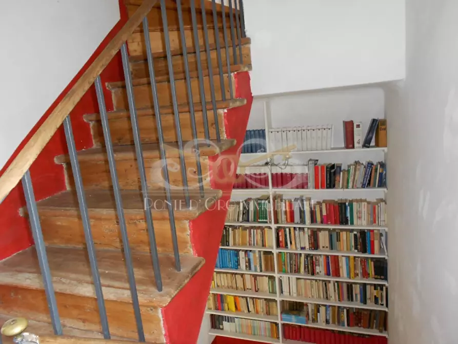 Immagine 11 di Villa in vendita  a Pietrasanta