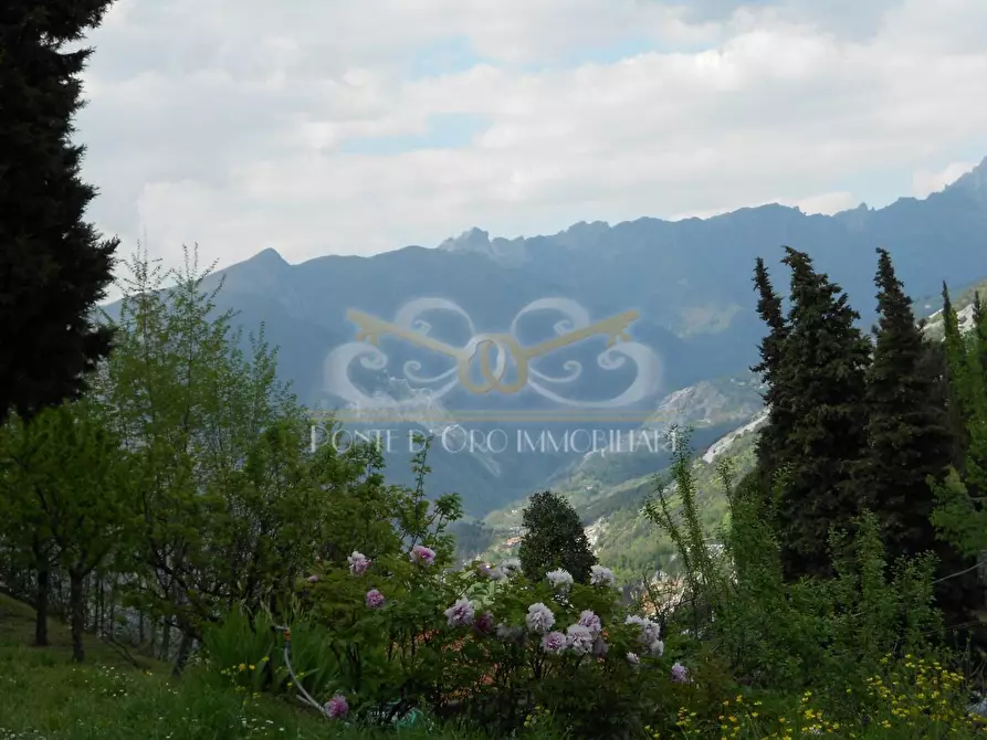 Immagine 19 di Villa in vendita  a Pietrasanta