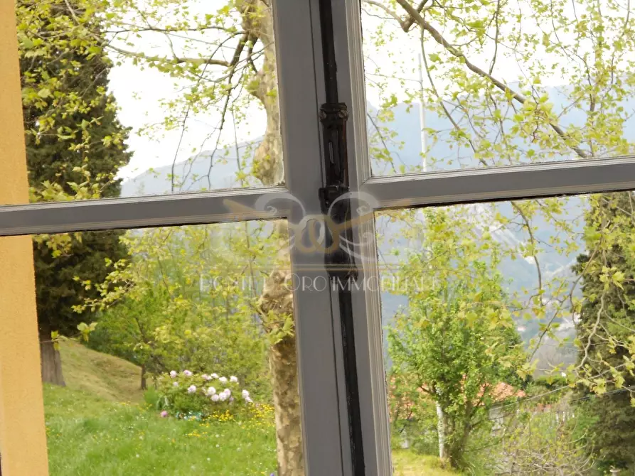 Immagine 16 di Villa in vendita  a Pietrasanta