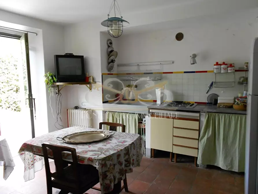 Immagine 4 di Villa in vendita  a Pietrasanta