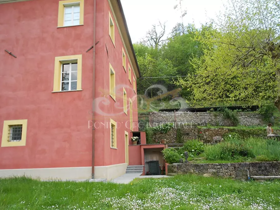 Immagine 3 di Villa in vendita  a Pietrasanta