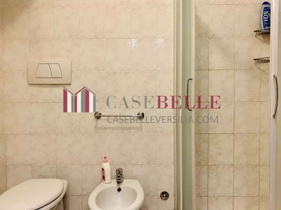 Immagine 11 di Appartamento in vendita  a Pietrasanta