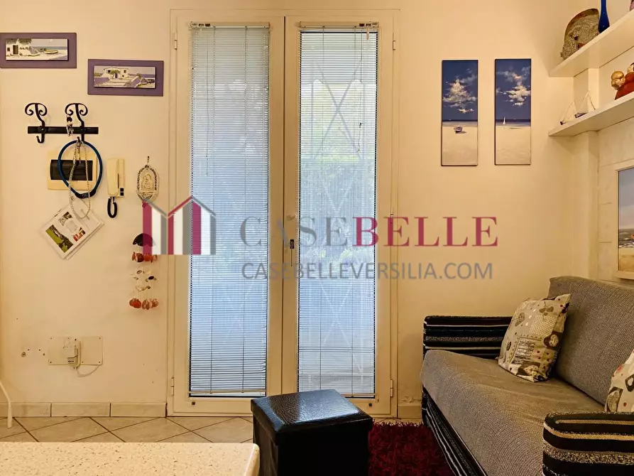 Immagine 23 di Appartamento in vendita  a Pietrasanta