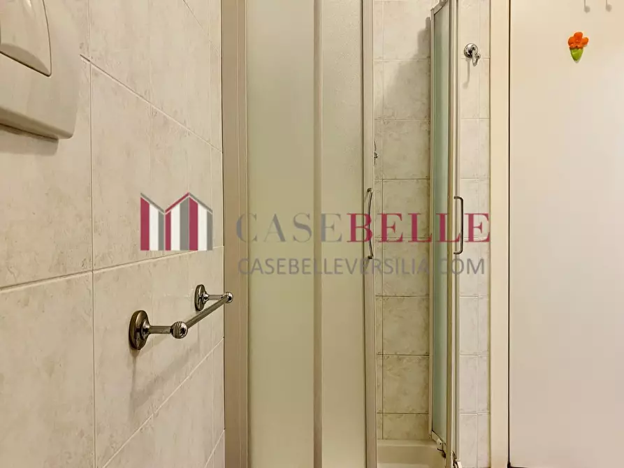 Immagine 13 di Appartamento in vendita  a Pietrasanta