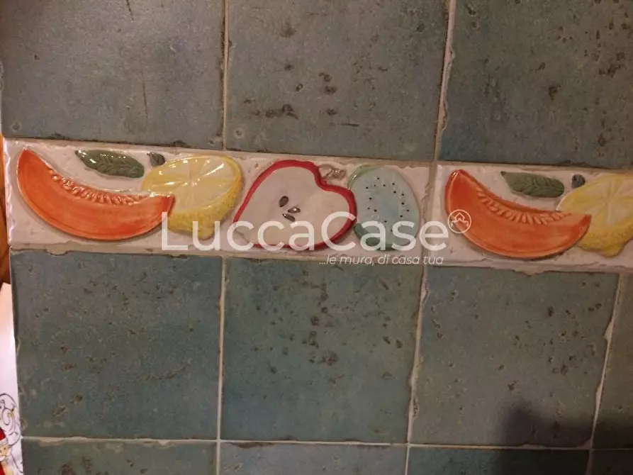 Immagine 12 di Terratetto in vendita  a Montecarlo