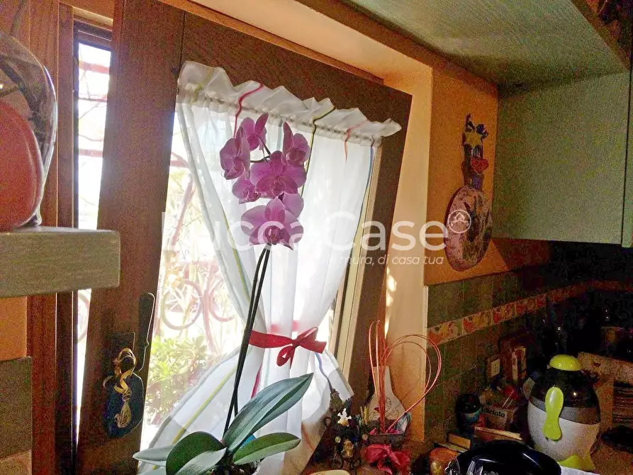 Immagine 13 di Terratetto in vendita  a Montecarlo