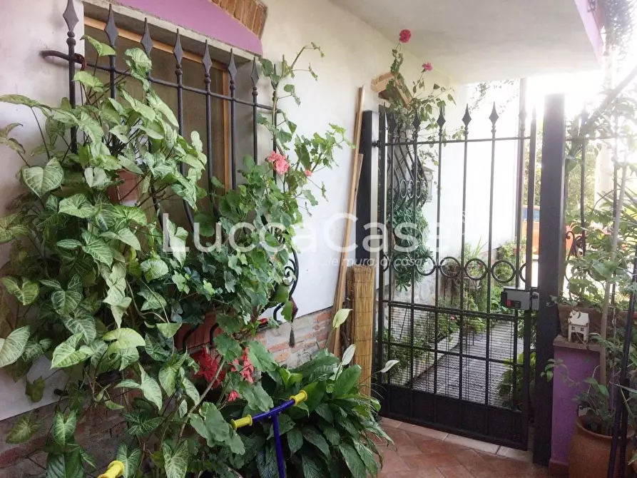 Immagine 20 di Terratetto in vendita  a Montecarlo