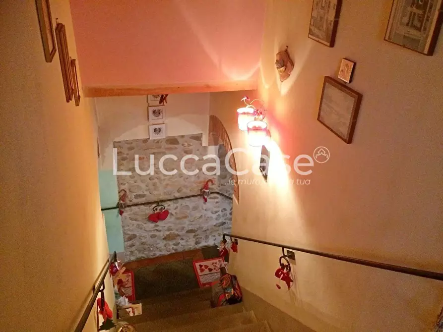 Immagine 19 di Terratetto in vendita  a Montecarlo