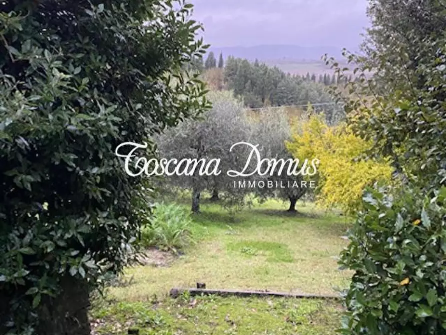 Immagine 4 di Casa colonica in vendita  a Siena