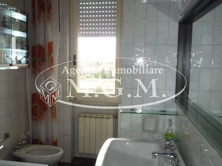 Immagine 17 di Appartamento in vendita  a Santa Croce Sull'arno