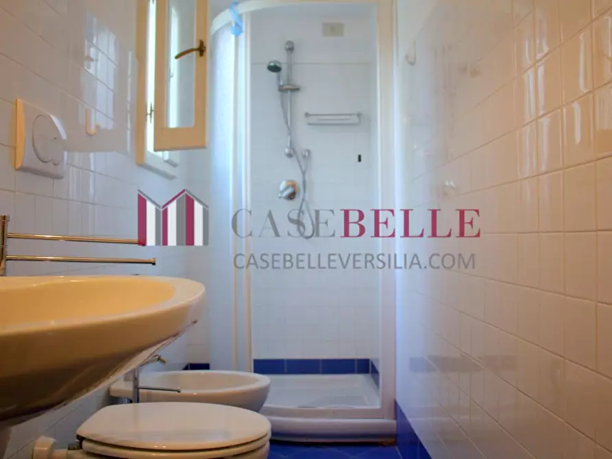 Immagine 8 di Appartamento in affitto  a Pietrasanta