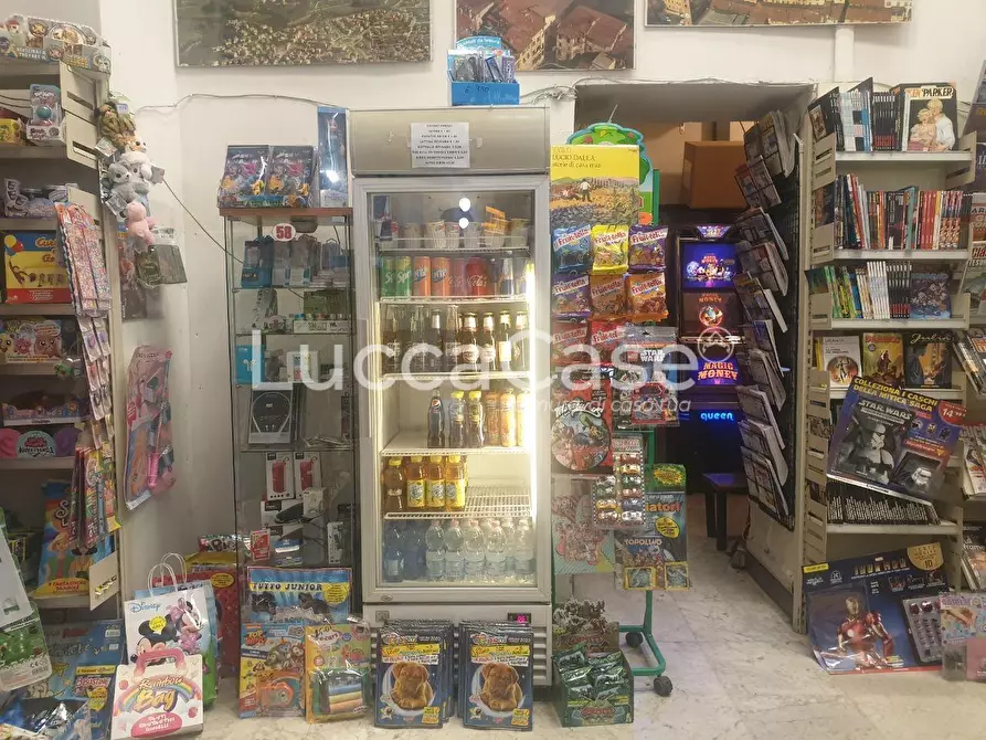 Immagine 3 di Attività commerciale in vendita  a Lucca