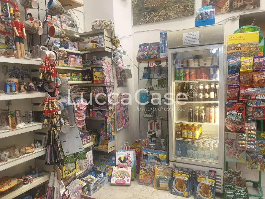 Immagine 4 di Attività commerciale in vendita  a Lucca