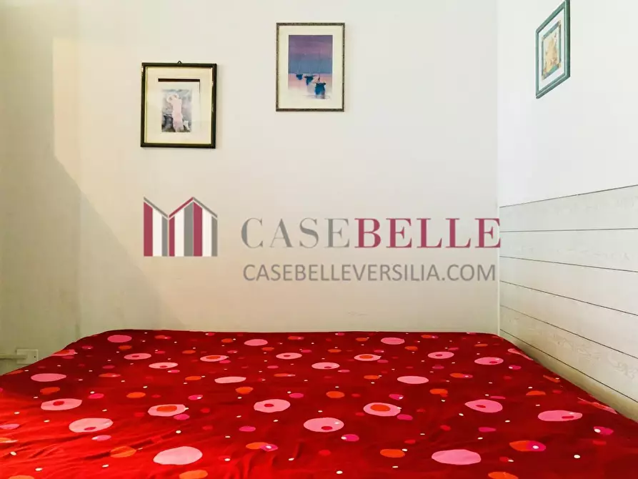 Immagine 3 di Appartamento in vendita  a Camaiore