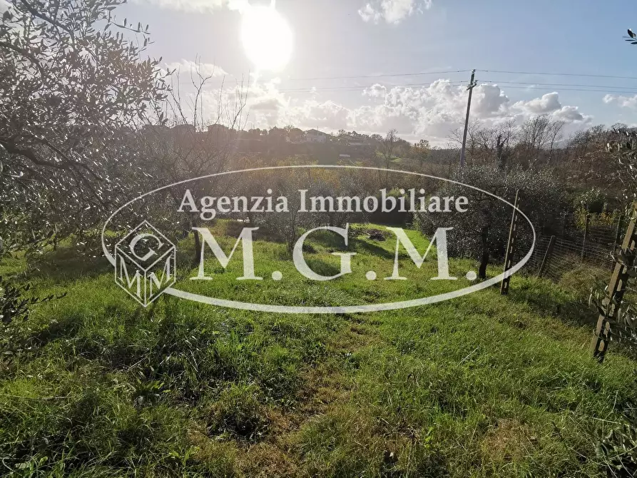 Immagine 42 di Villa in vendita  a Santa Maria A Monte