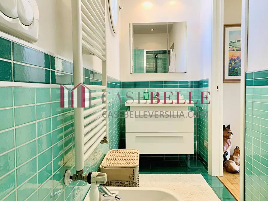 Immagine 34 di Villa in affitto  a Forte Dei Marmi