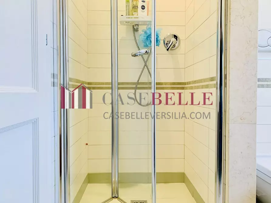 Immagine 28 di Villa in affitto  a Forte Dei Marmi