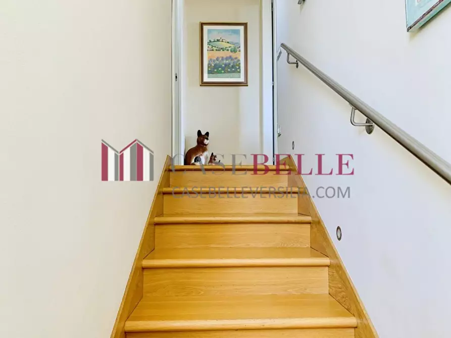 Immagine 30 di Villa in affitto  a Forte Dei Marmi