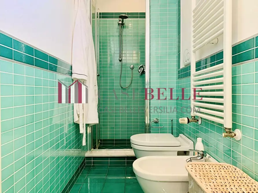 Immagine 33 di Villa in affitto  a Forte Dei Marmi