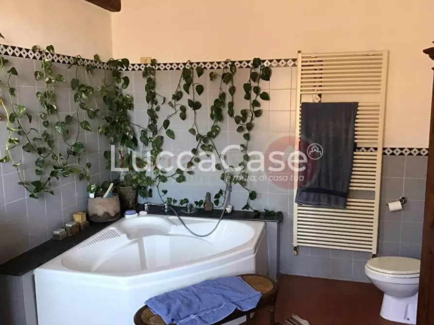 Immagine 22 di Appartamento in vendita  a Lucca