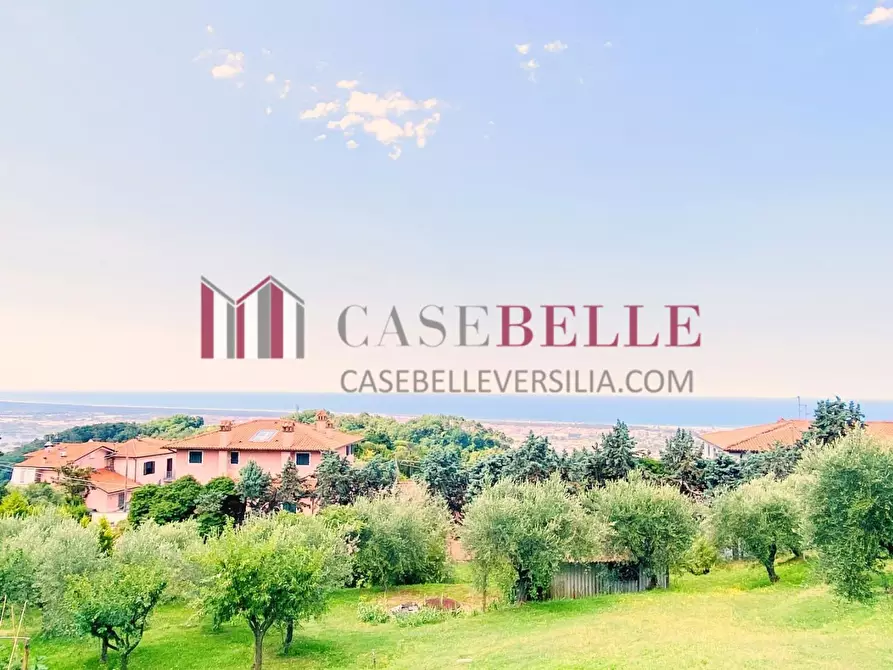 Immagine 55 di Villa in vendita  a Massarosa