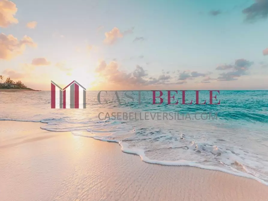 Immagine 1 di Attività commerciale in vendita  a Massa