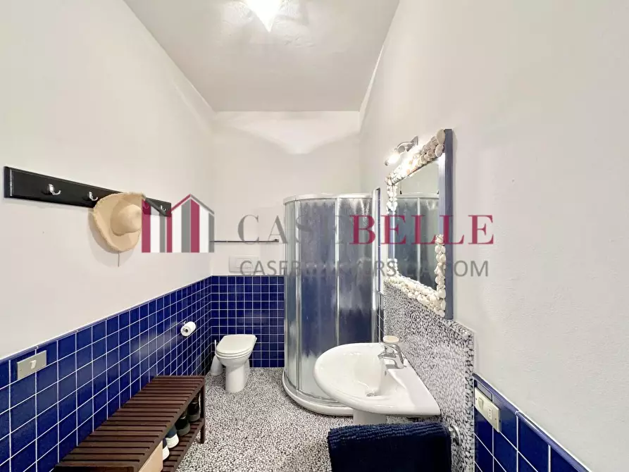 Immagine 45 di Appartamento in affitto  a Forte Dei Marmi