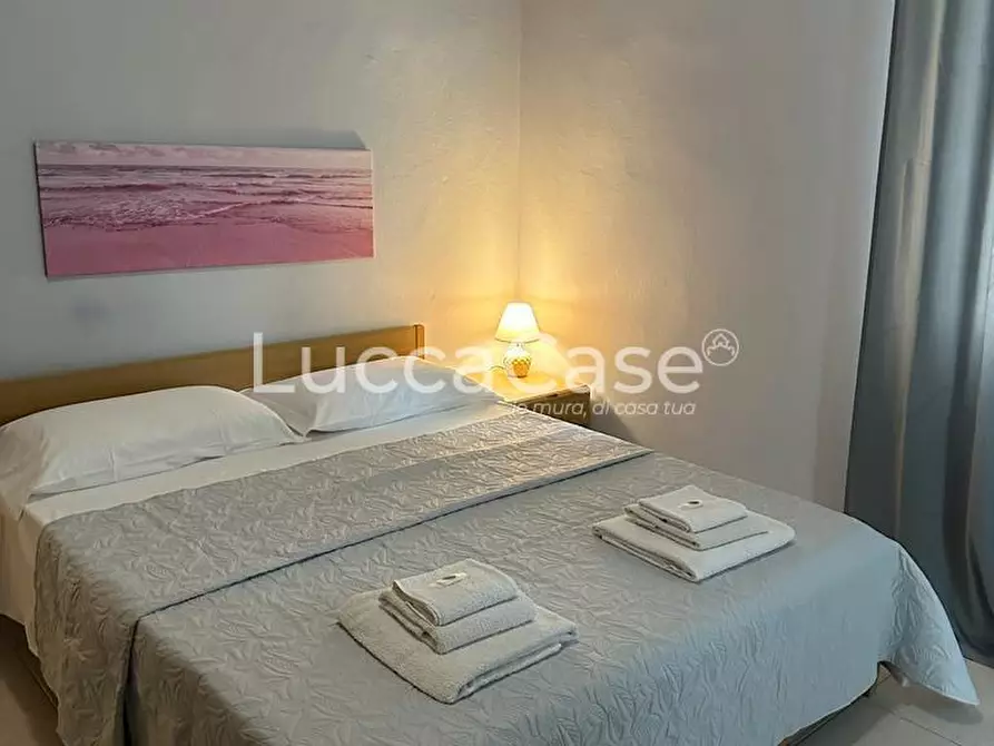 Immagine 23 di Appartamento in affitto  a Camaiore