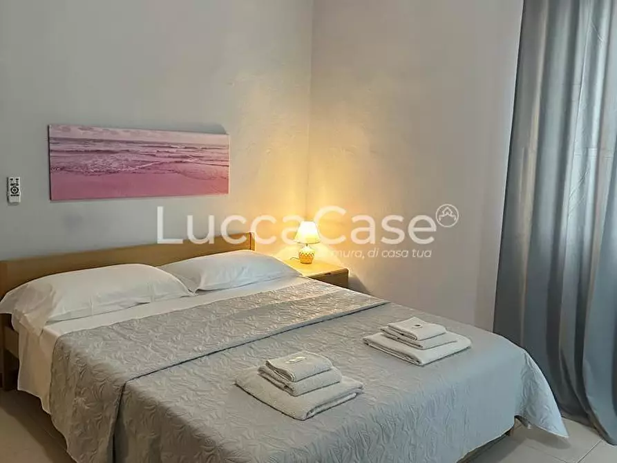 Immagine 21 di Appartamento in affitto  a Camaiore