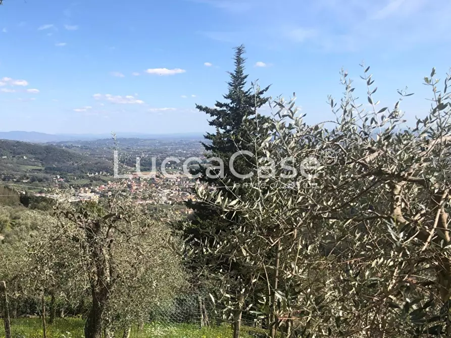 Immagine 6 di Rustico / casale in vendita  a Lucca