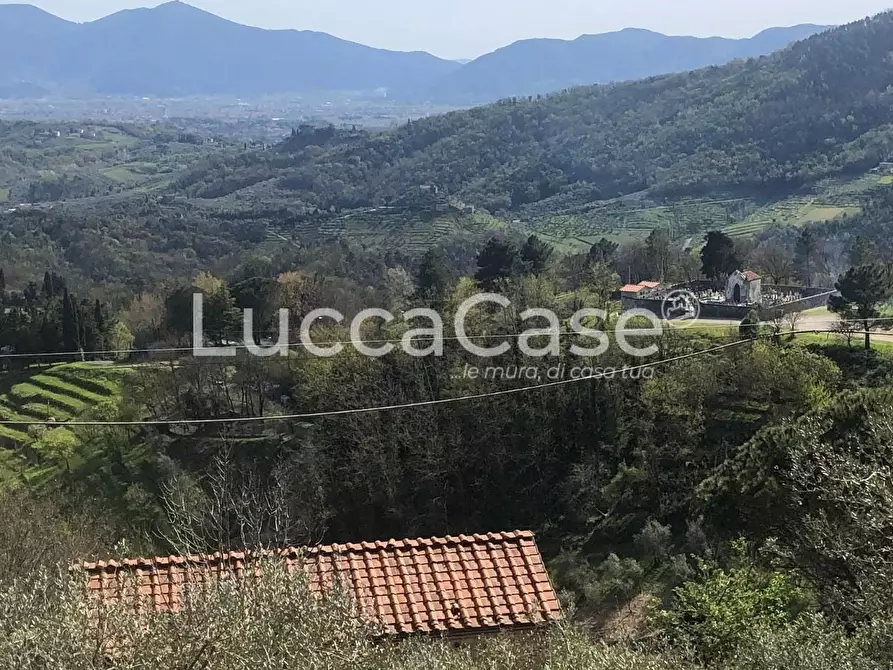 Immagine 5 di Rustico / casale in vendita  a Lucca