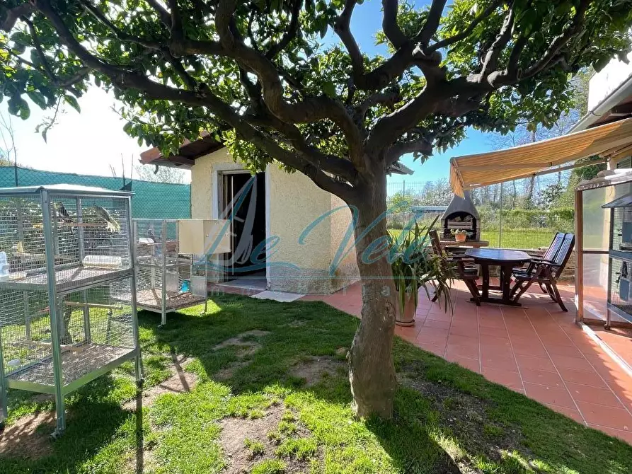 Immagine 3 di Casa indipendente in vendita  a Massa