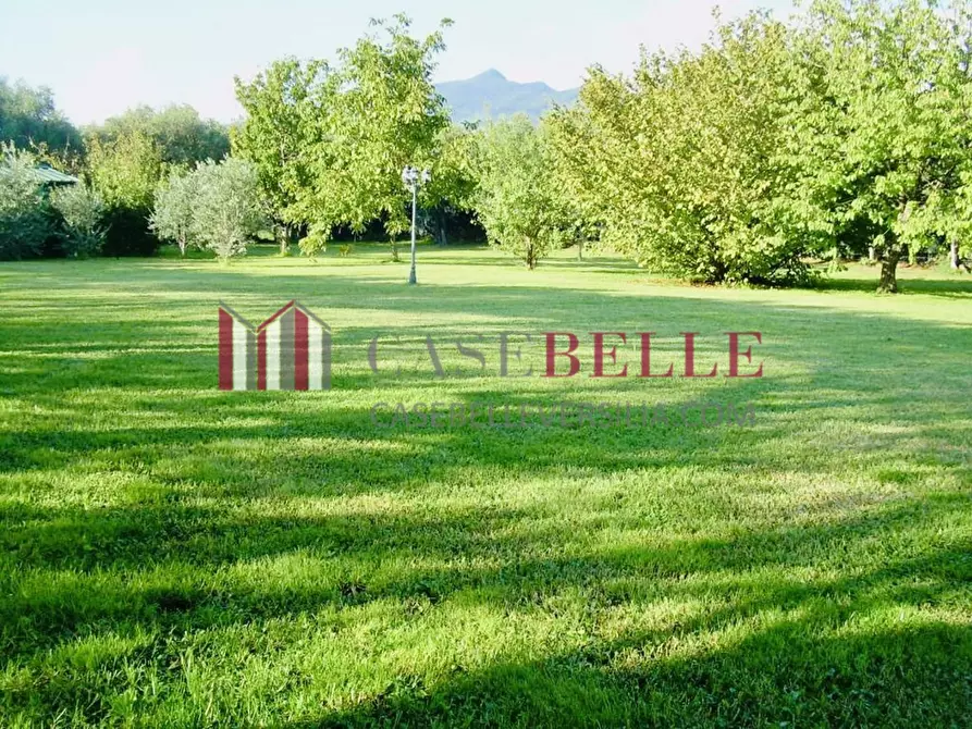 Immagine 47 di Casa indipendente in affitto  a Forte Dei Marmi