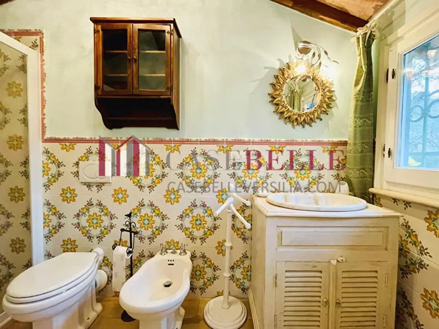 Immagine 42 di Casa indipendente in affitto  a Forte Dei Marmi