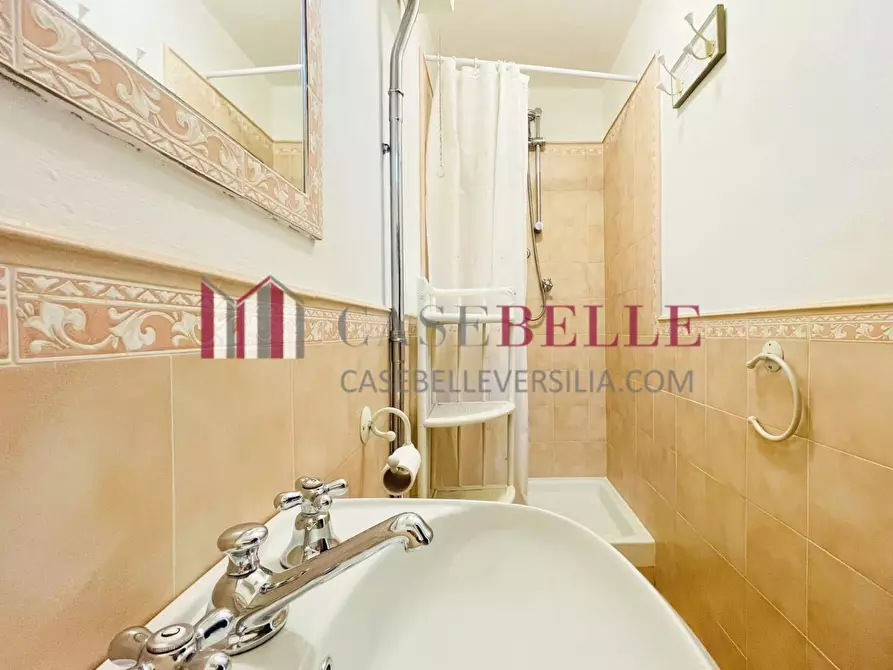 Immagine 38 di Casa indipendente in affitto  a Forte Dei Marmi