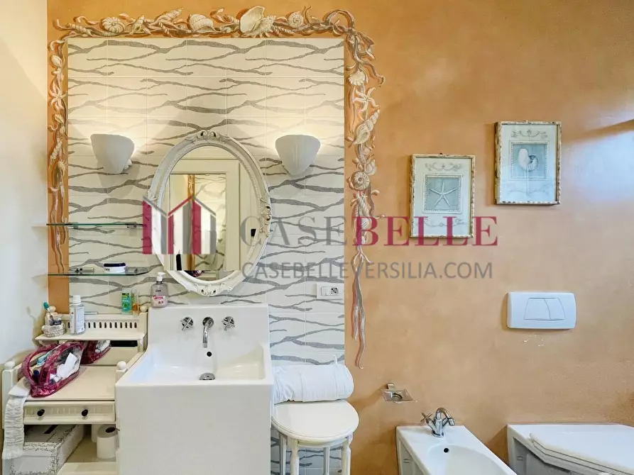 Immagine 54 di Casa indipendente in affitto  a Forte Dei Marmi