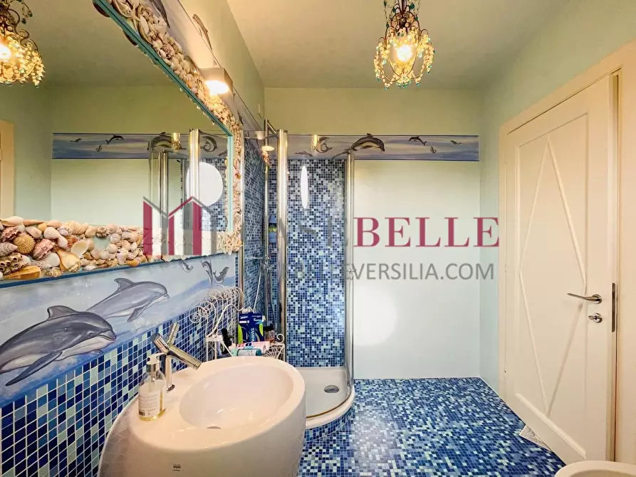 Immagine 46 di Casa indipendente in affitto  a Forte Dei Marmi