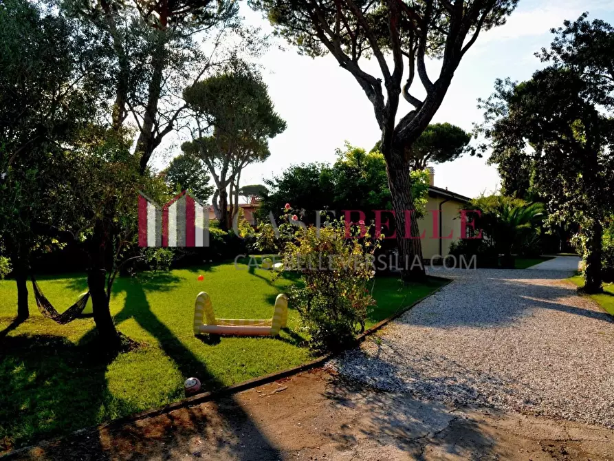 Immagine 14 di Villa in affitto  a Forte Dei Marmi