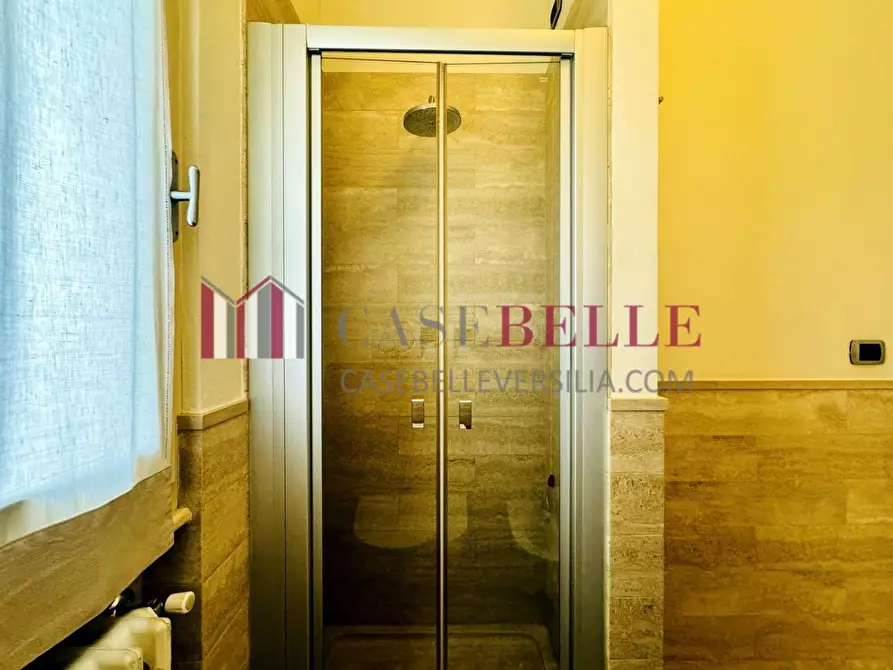 Immagine 31 di Villa in affitto  a Forte Dei Marmi