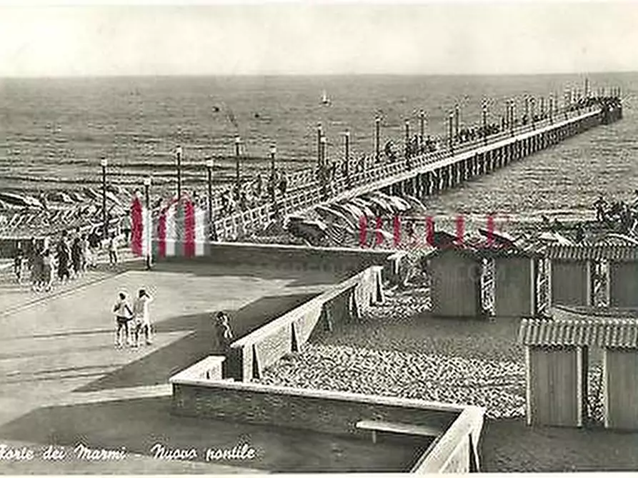 Immagine 76 di Casa bifamiliare in affitto  a Seravezza