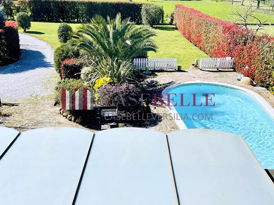 Immagine 23 di Casa bifamiliare in affitto  a Seravezza